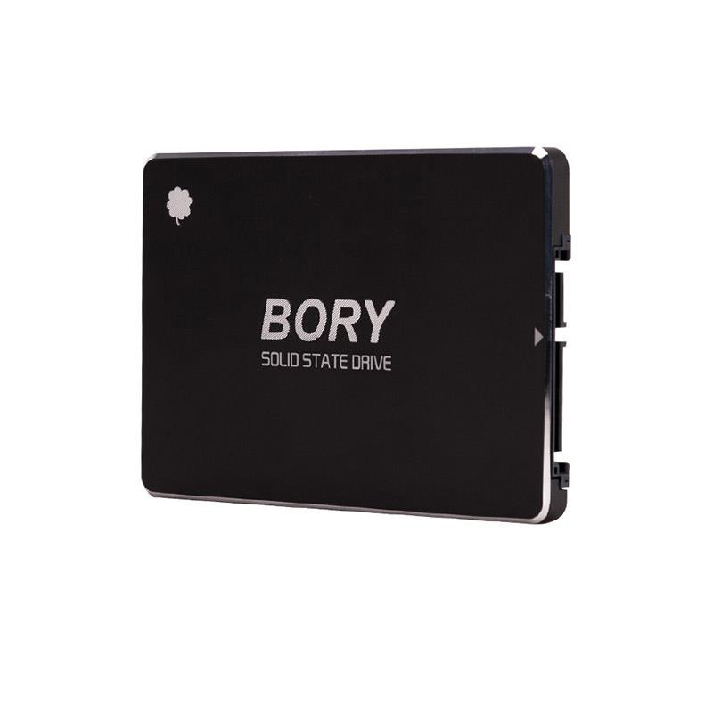 256 GB BORY SATA3 R500-C256G SSD 550/510 MBS (3 YIL GARANTİLİ) - Görsel 2